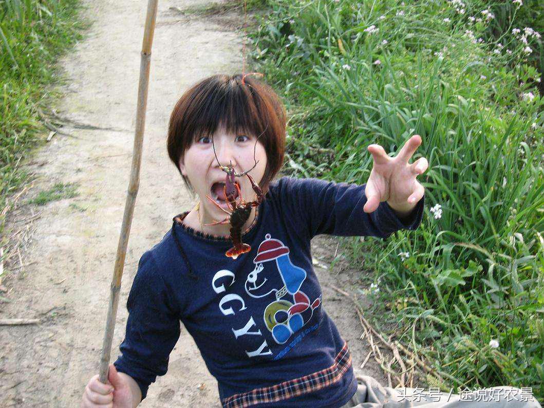 井陉豌豆农庄一日游,孙庄村豌豆农庄