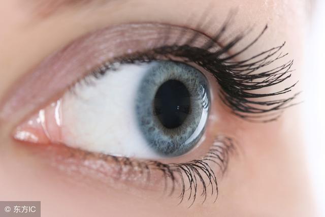 眼结石走进科学,眼结石最快排出方法