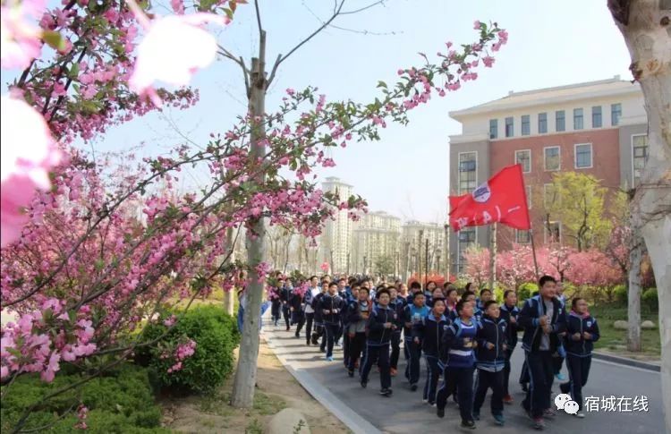 孩子去哪上学读书最好,小孩怎么去泗洪上学