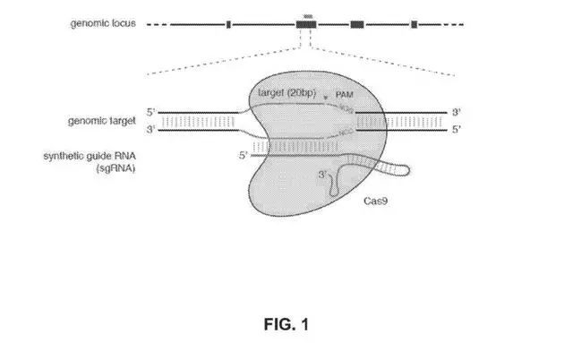 改变世界的七个专利,改变世界的十大科技