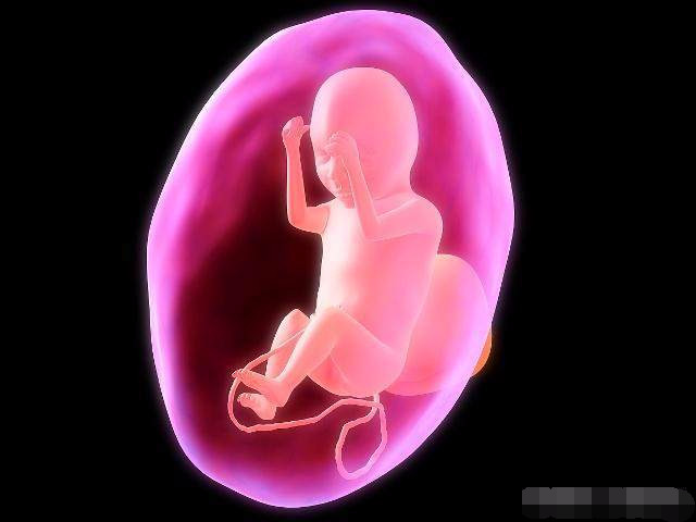 叶酸必须怀孕前三个月吃吗,叶酸从怀孕什么时候时间点吃最好