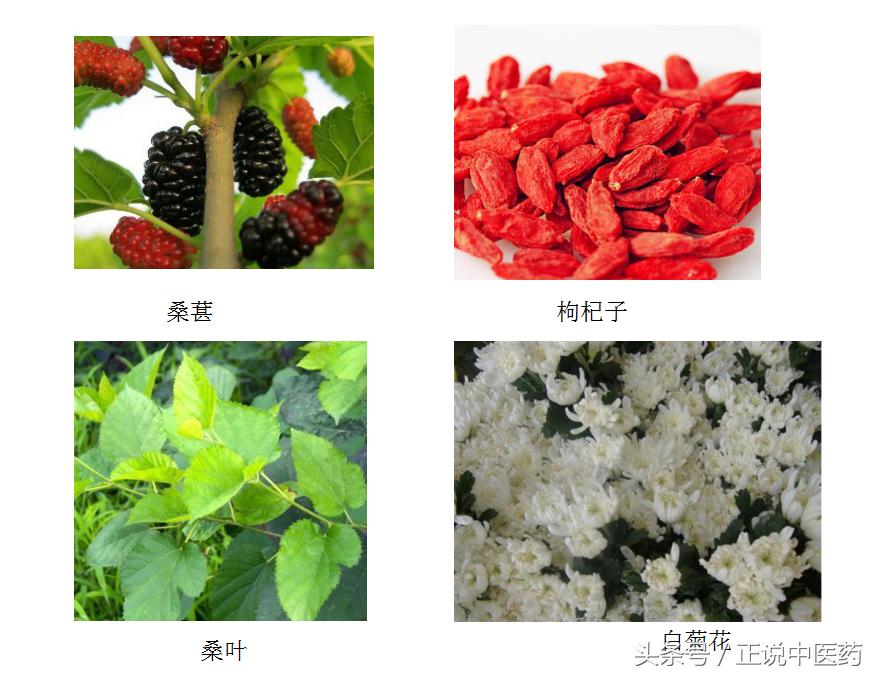 经常熬夜伤肝脾肾吃中药怎么调理,熬夜饮食不规律中药调理