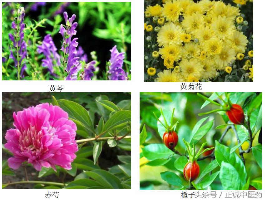 经常熬夜伤肝脾肾吃中药怎么调理,熬夜饮食不规律中药调理