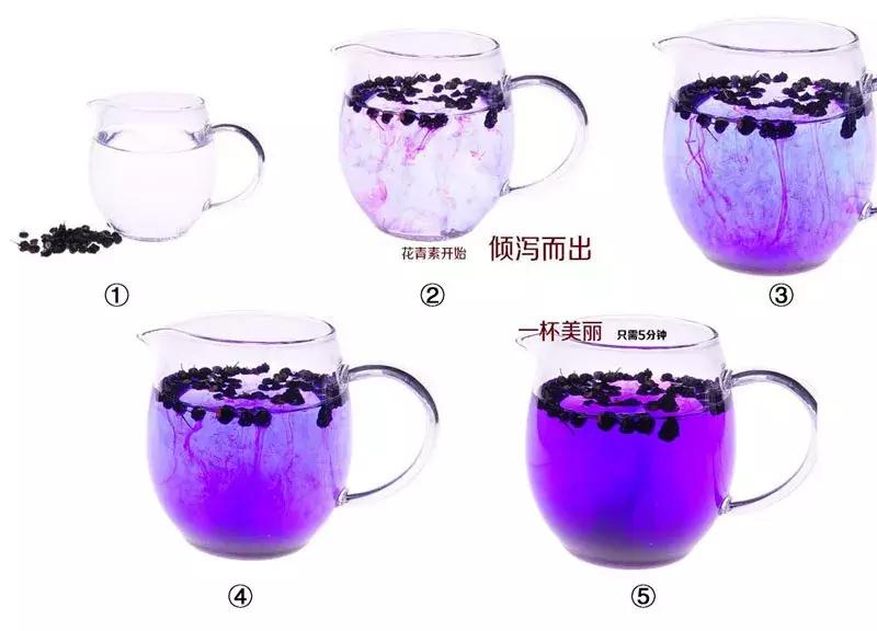 黑枸杞喝了真的能延缓衰老吗,黑枸杞泡水喝了对人体有哪些好处