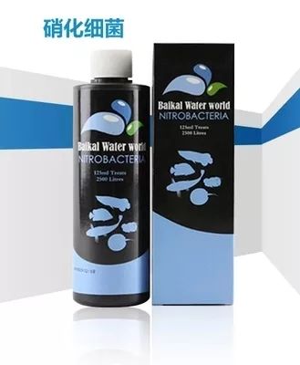 硝化细菌可以养鱼缸吗,开缸不加硝化细菌照样能养鱼