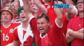 世界杯咋投钱,世界杯怎么投可以稳中有赚