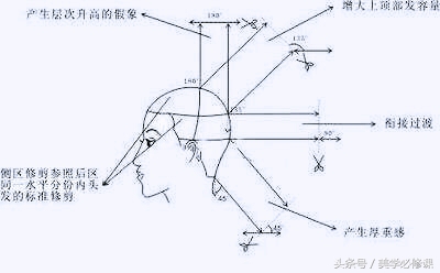 最简单易懂长碎发修剪,中层次碎发分区修剪教程