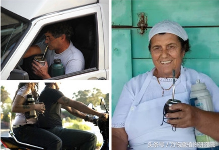 涓栫晫鏉樋鏍瑰环鐗╄祫,涓栫晫鏉壒鏁堣嵂