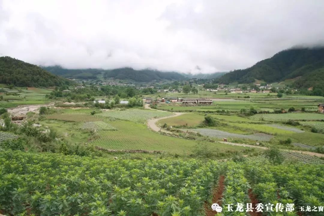 「今日丽江」丽江互联网牵手旅游，今年将培养千名旅游咨询师/激情世界杯酒驾整治不打烊