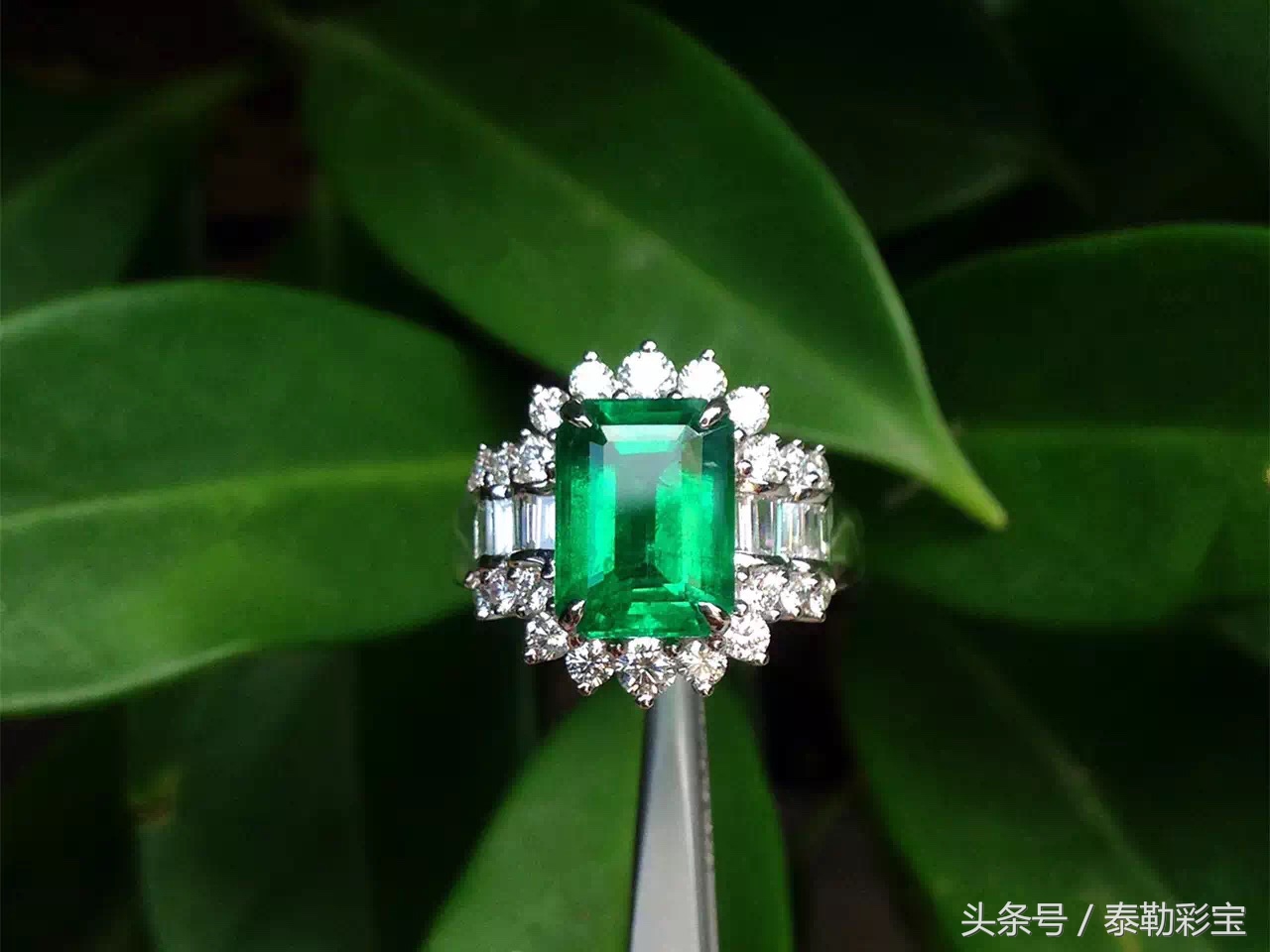 巴西在世界杯以往比赛,巴西被德国世界杯打败