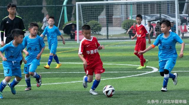 足球青训观察完整视频,青训观察颜色