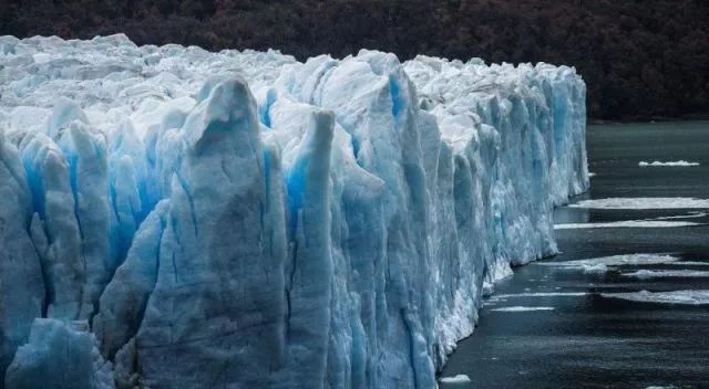 世界杯决赛潘帕斯雄鹰高卢,世界杯潘帕斯进球