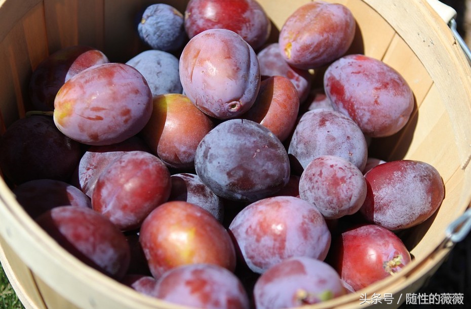 保持年轻的9个秘诀,童颜不老美白秘诀