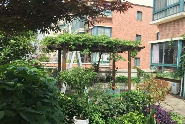 香香的花园自拍杆,香香的花围墙推荐