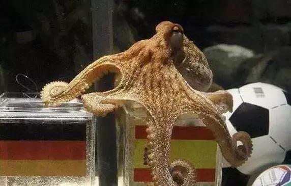 用科学手段预测足球比赛,如何用奇门遁甲预测足球