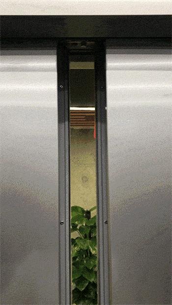 在公司露台看球！室内还是室外？pick一下