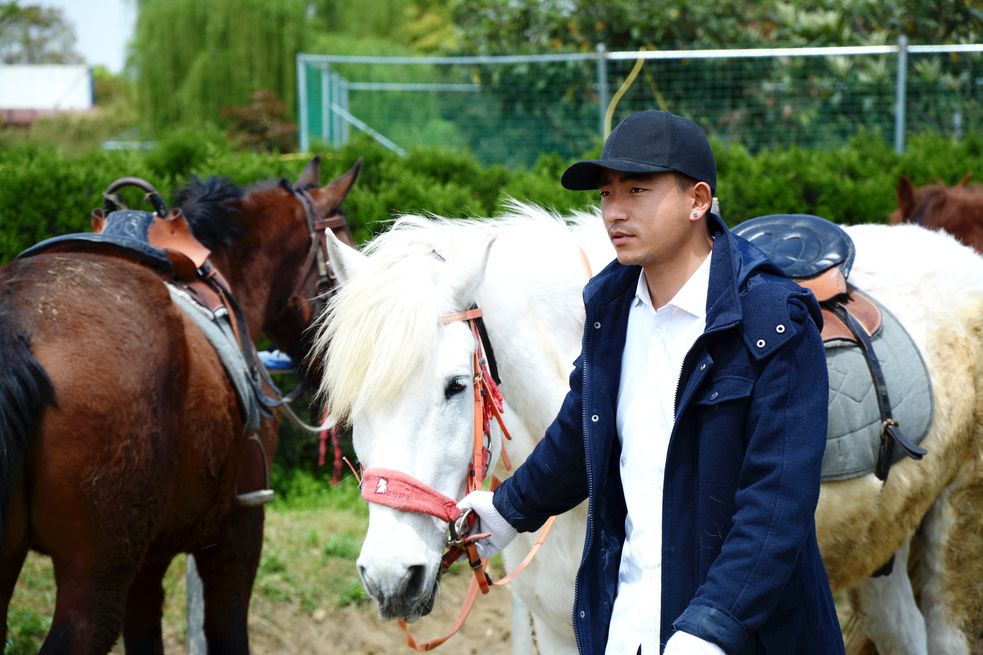 苏州哪些景点可以看小桥流水,只有老苏州人才知道的小众景点