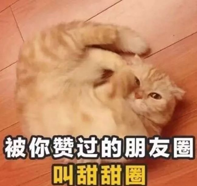 c罗世界杯语录,世界杯最土味的话