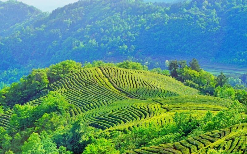 最美县域榜单2021,2020甘肃最美县域榜单