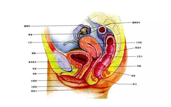 没有*生活性**就没有妇科病？是你太天真还是太无邪！