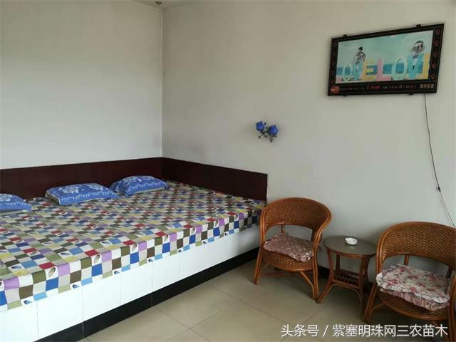 南戴河*哥涛**农家院（成杰宾馆）云烟天外黄金缕，渔火滩头绿酒家！