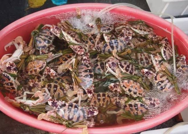 深圳吃喝玩乐攻略,2019深圳吃喝玩乐全攻略