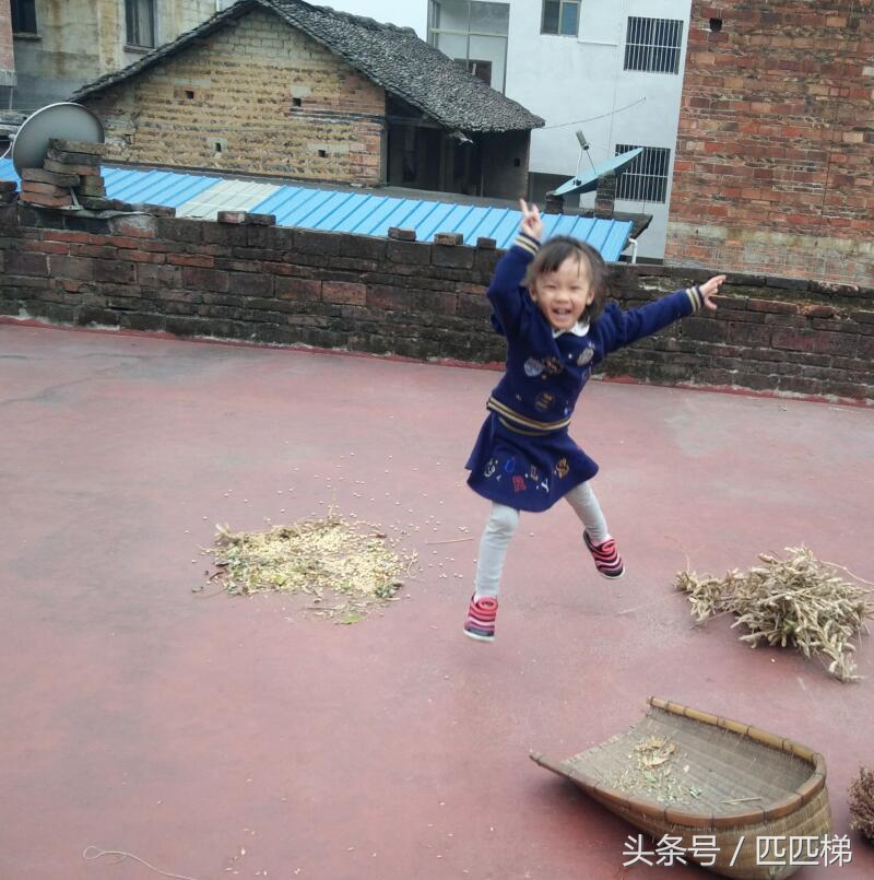 屋顶大面积漏水防水用什么涂料好,屋顶漏水防水最佳方法视频