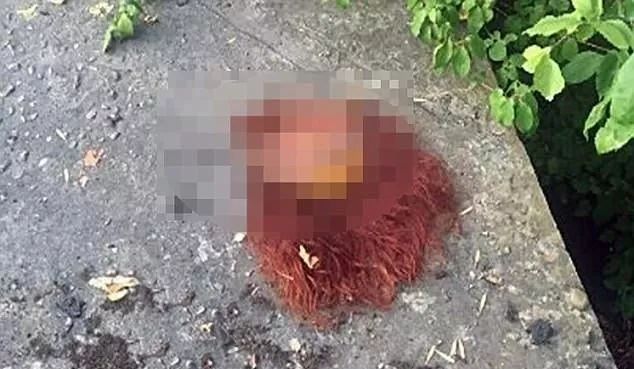 当看到19年吃了30个人的变态和多起女子被杀害的案件你会怎么做？