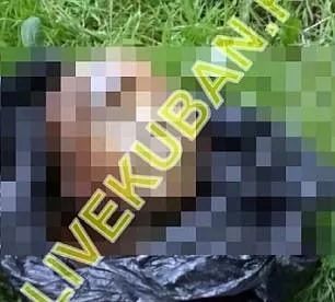 女性被人杀害的真实案例,少女被杀害的真实案例