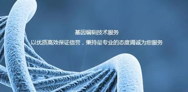 生物医药人才招聘策略,生物与医药行业招聘