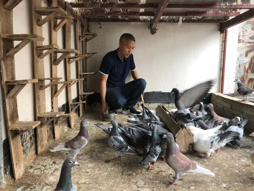 他在淘宝上专门“放鸽子”，还好评不断
