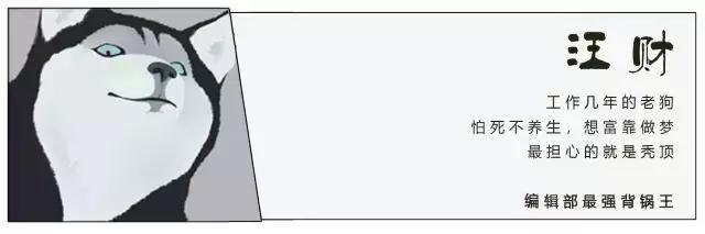 尬聊从来没输过,尬聊世界杯