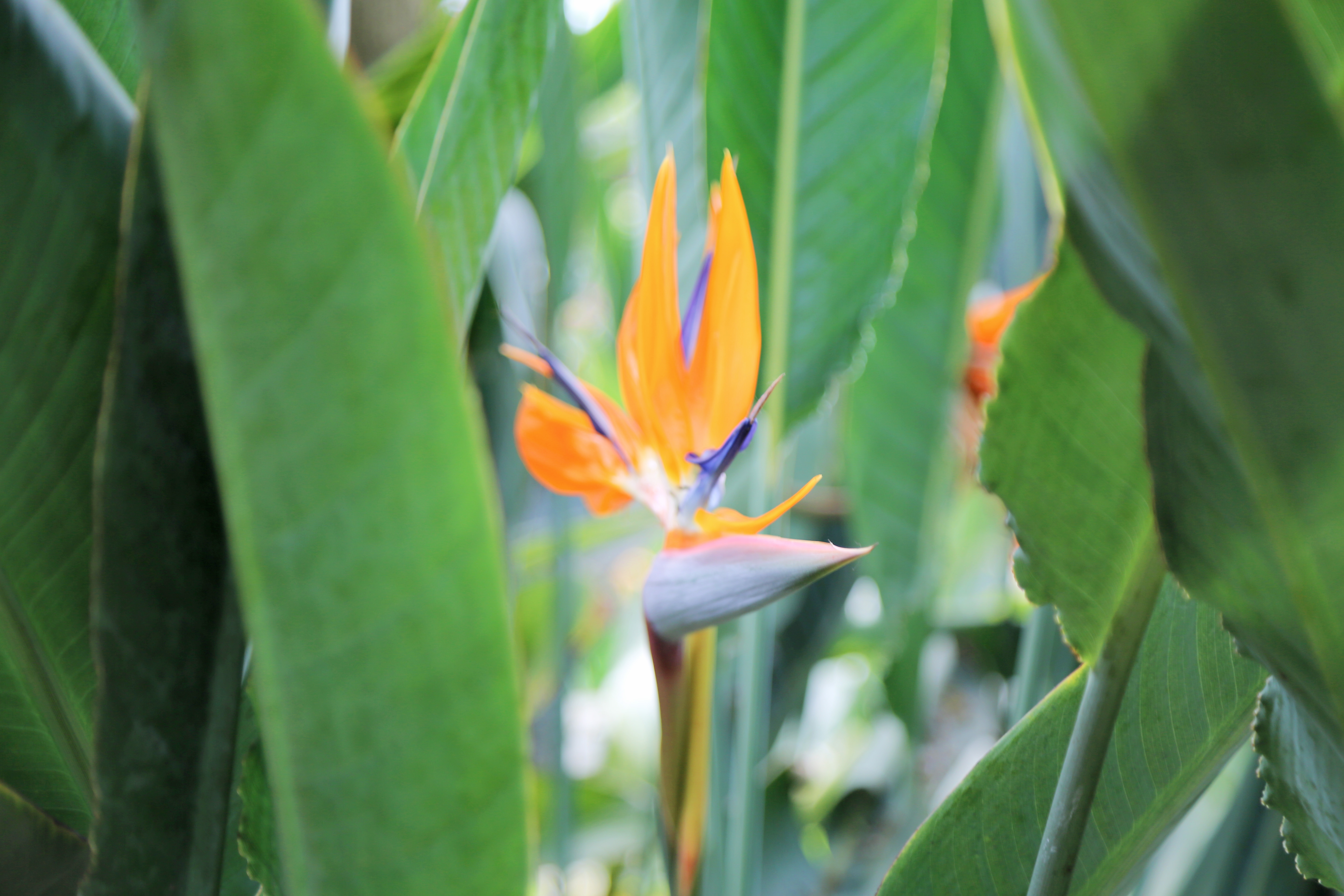 造价过亿，南通竟有这么一块精彩的神秘绿洲，周末休闲好去处