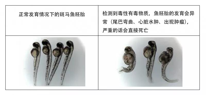 时髦的，你玩过“止汗剂挑战”？没玩过就对了