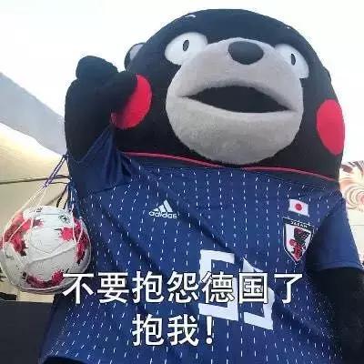 世界杯最土味的话语,关于欧洲杯的土情话