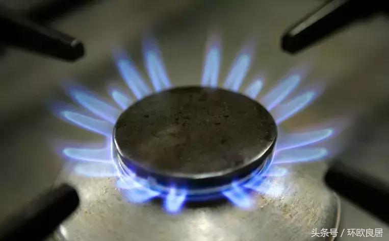 荷兰缴税政策,荷兰收税吗