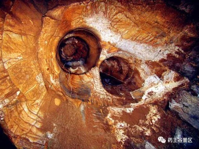 夏至来临，气温攀升，药王谷220两天一夜欢乐避暑体验！黑森林/森林花海/地心峡/水世界……