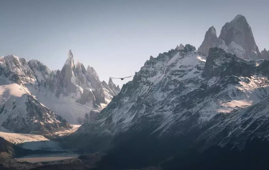 阿根廷以后输不输球,阿根廷2-0没输过