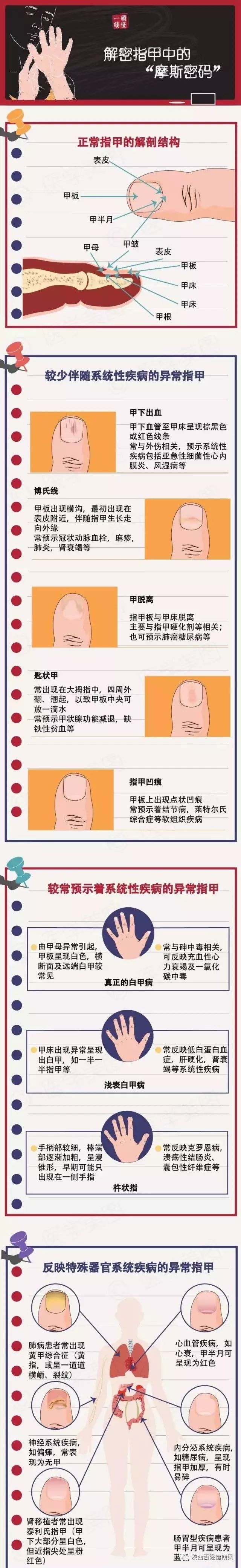 手健康有多重要,手型看健康