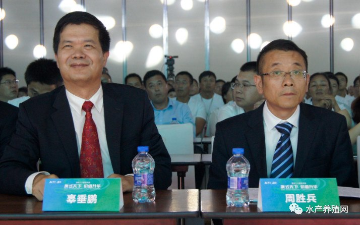 澳华总裁,澳华集团董事长许愿斌