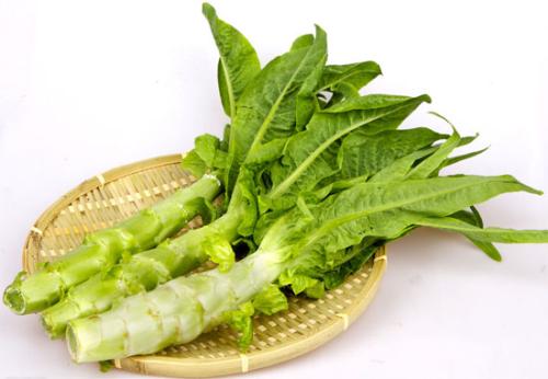 下奶的五种不错选择，宝妈们不容错过哦