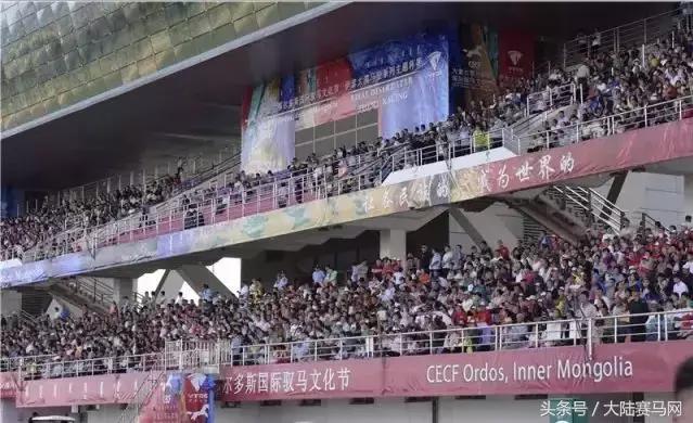 内蒙古伊泰杯2023,伊泰大漠马场