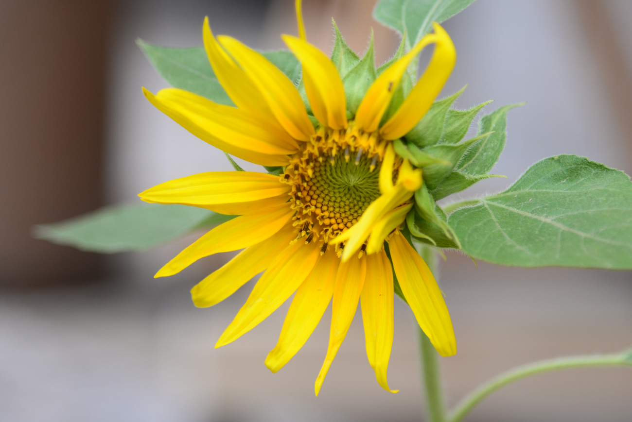 10大人际关系法则记住终生受益,四大人际关系秘诀记住受益终身