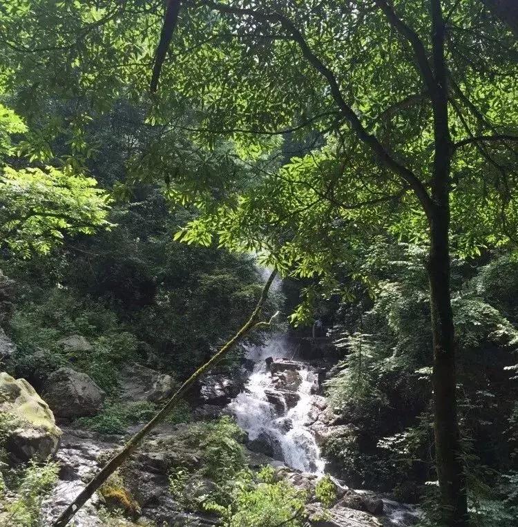 成都周边小众森林秘境,成都周边有山有水还免费的地方