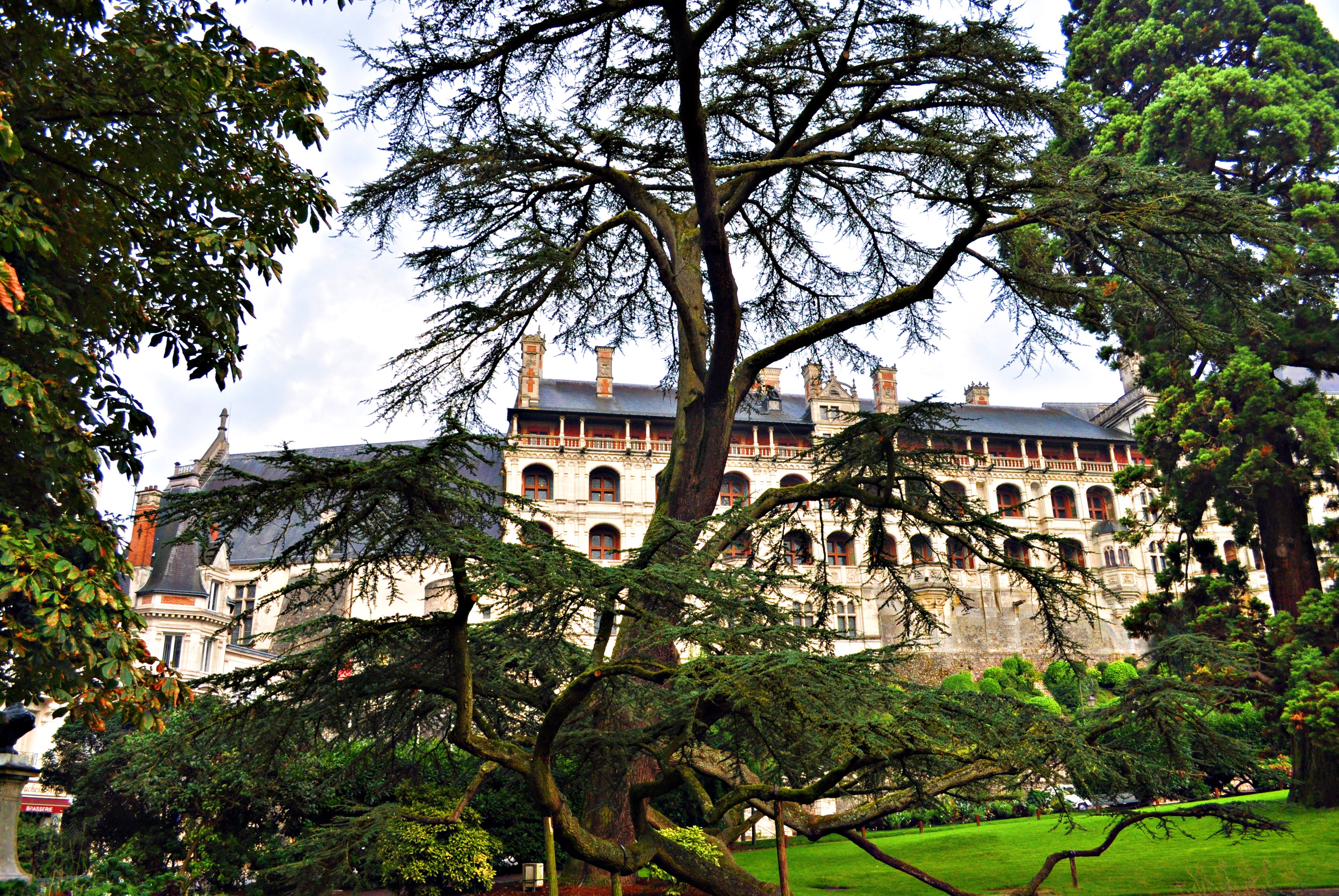 法国卢瓦尔河谷旅游攻略,卢瓦尔河城堡一日游