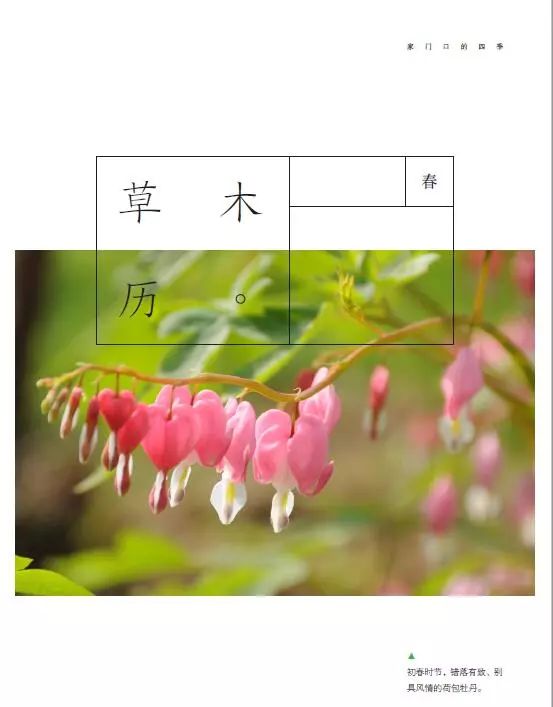 不期而遇经典小说,不期而遇原小说