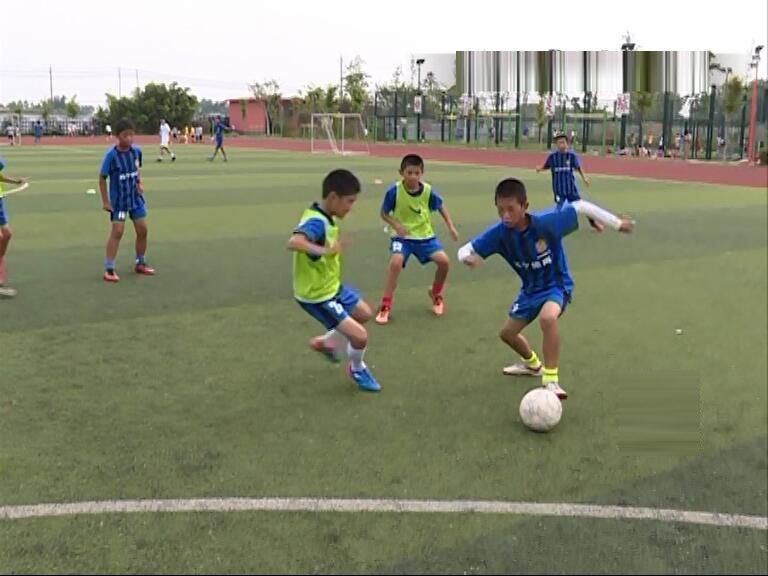 世界杯小学足球,小学生世界杯足球赛