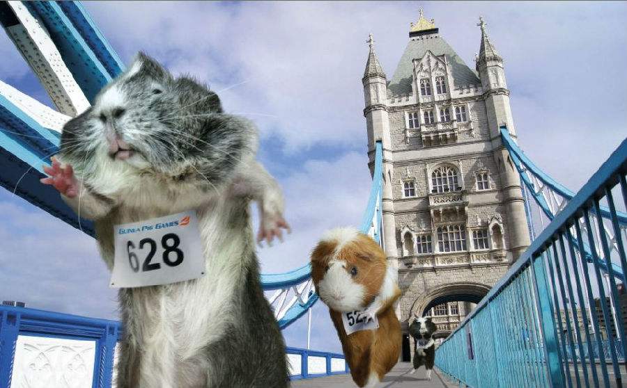 1996属鼠2023年运势,属鼠的人婚姻和运程怎么样