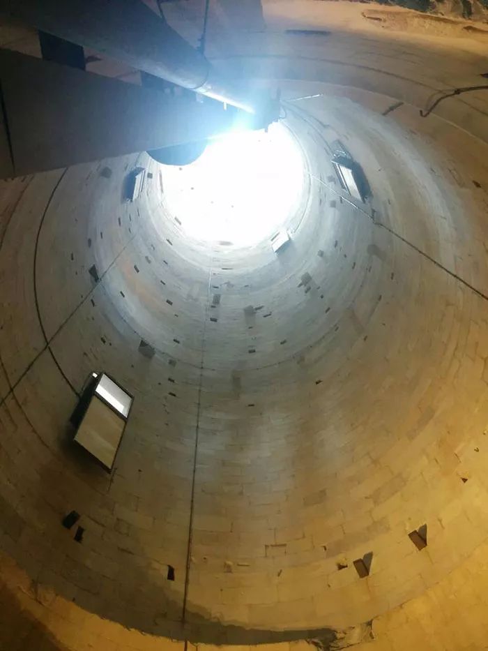 28张活久见的罕见照片,活久见100张图片