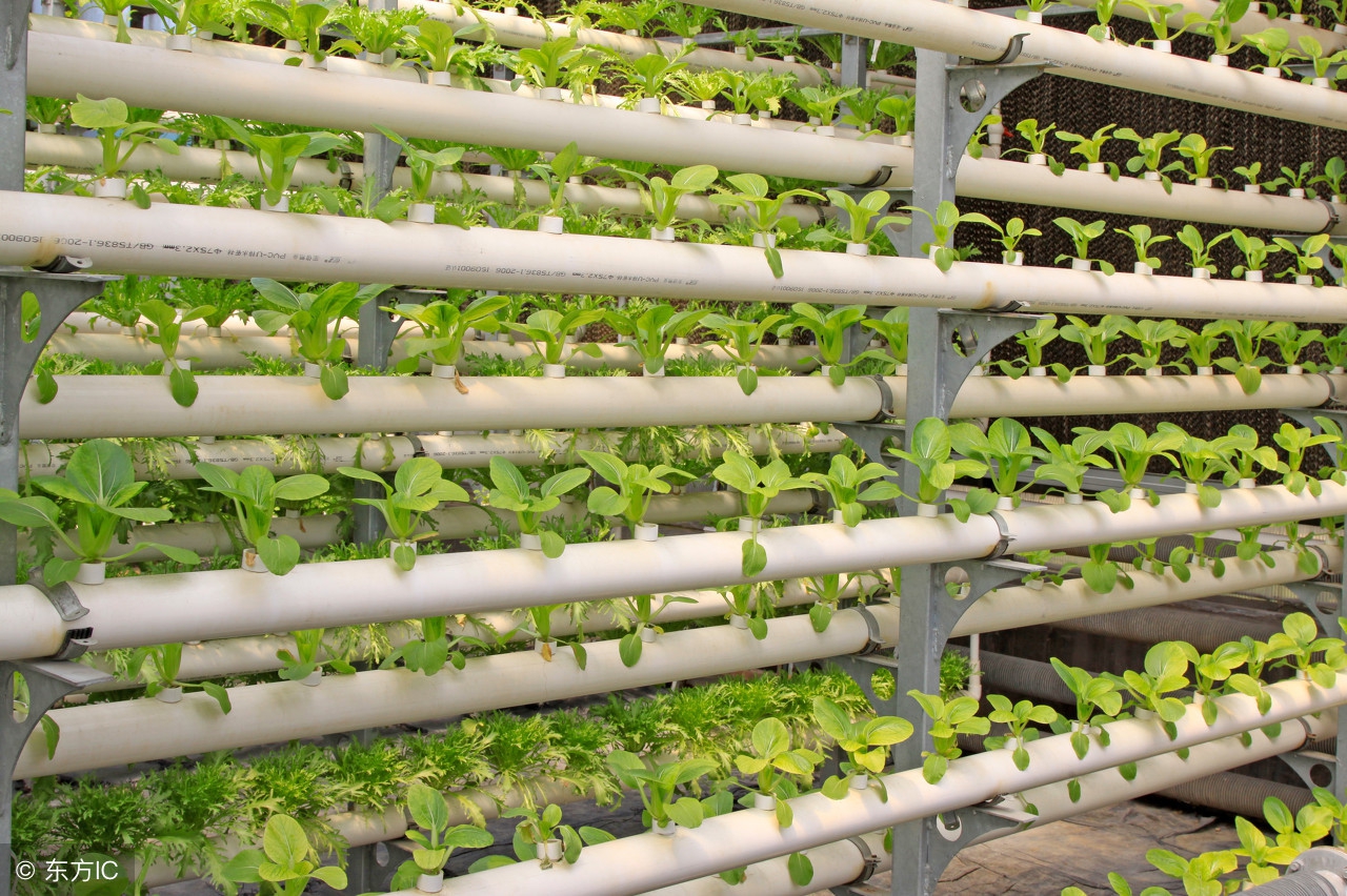 新型特色农业种植,农业大棚无土栽培基地